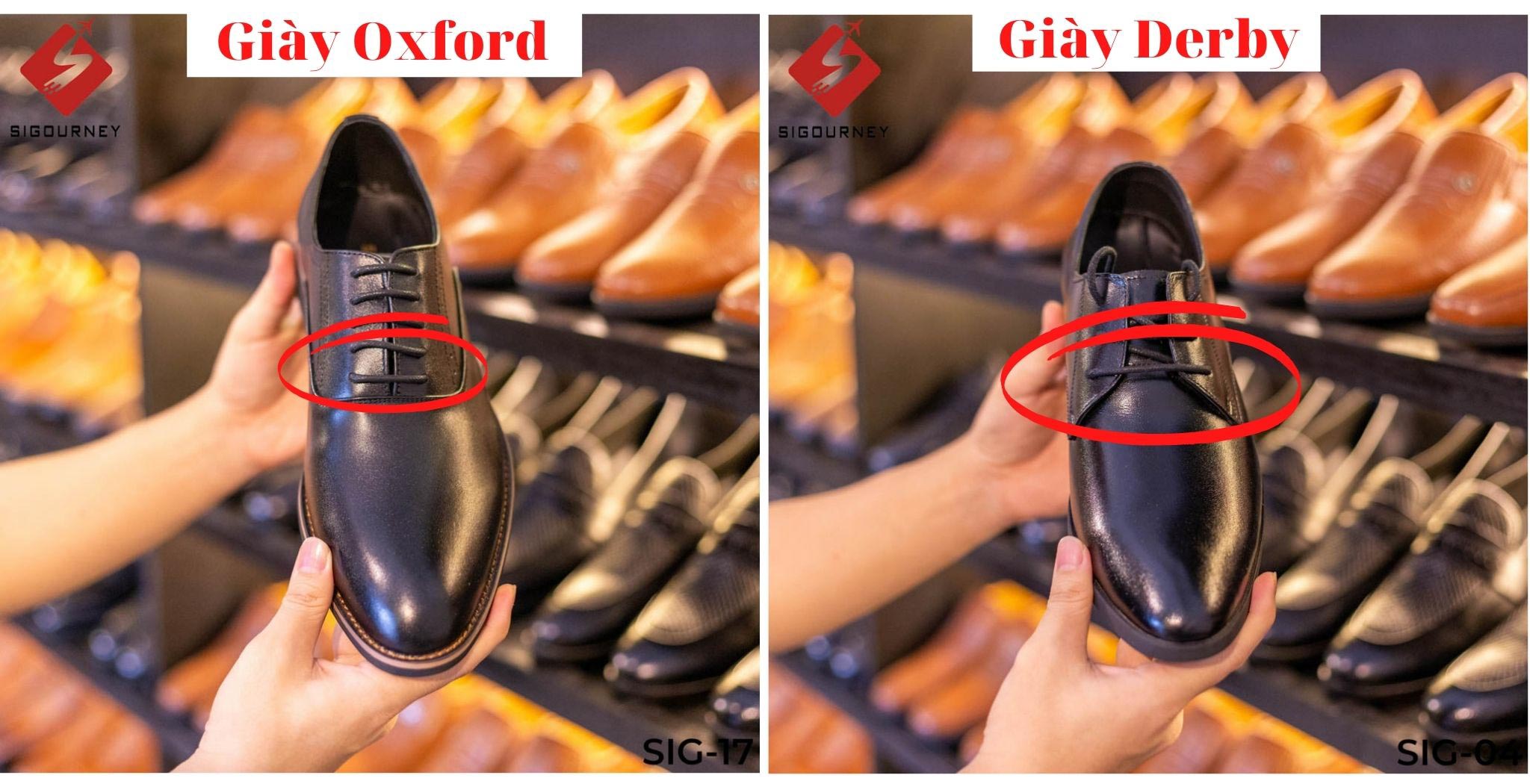 2 phân biệt giày derby và giày oxford