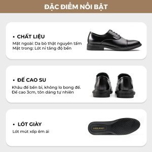 Giày Giả Dây Sang Trọng Tiện Dụng SIGOURNEY SIG-51 Da Bò Nguyên Tấm 2 Hinh 3 Dac diem san pham